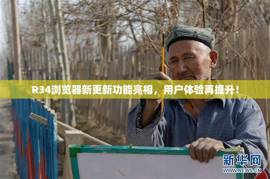 R34浏览器新更新功能亮相，用户体验再提升！
