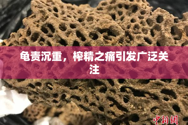 龟责沉重，榨精之痛引发广泛关注