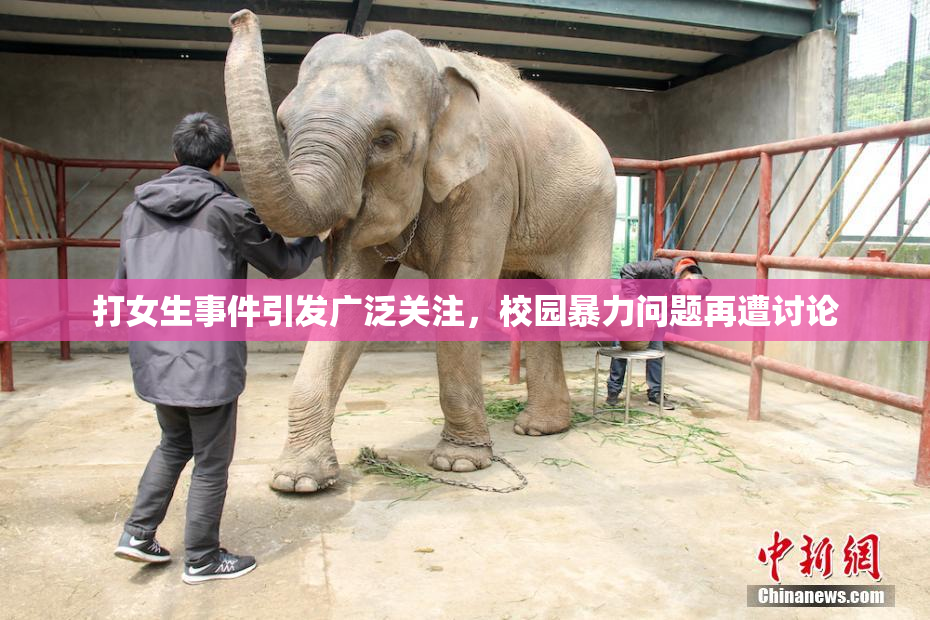 打女生事件引发广泛关注，校园暴力问题再遭讨论