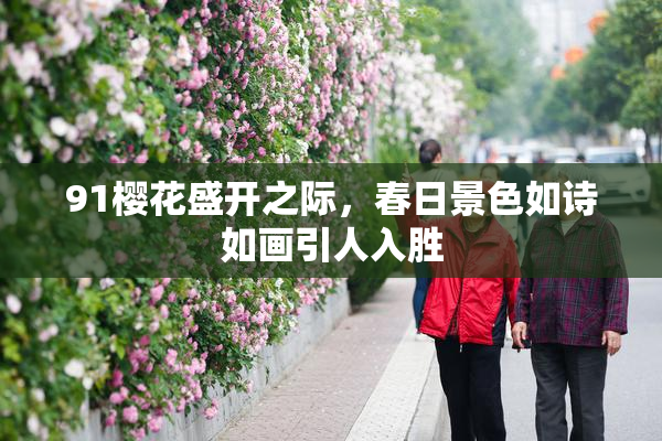 91樱花盛开之际，春日景色如诗如画引人入胜
