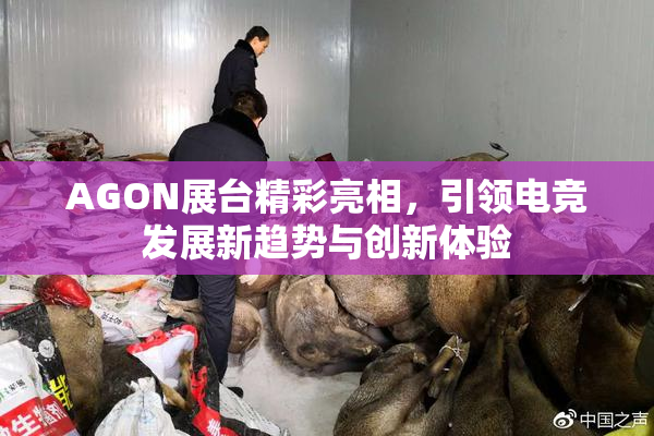 AGON展台精彩亮相，引领电竞发展新趋势与创新体验