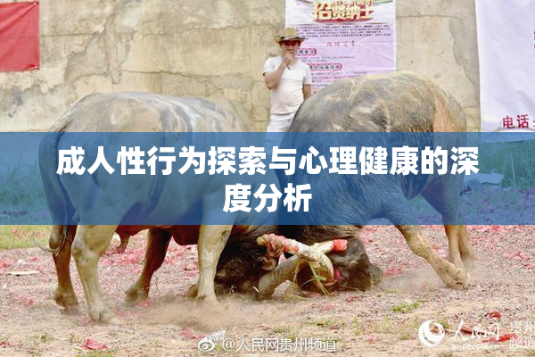 成人性行为探索与心理健康的深度分析