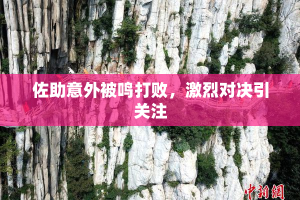 佐助意外被鸣打败，激烈对决引关注