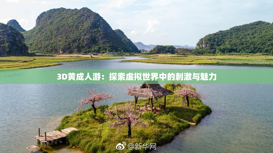 3D黄成人游：探索虚拟世界中的刺激与魅力