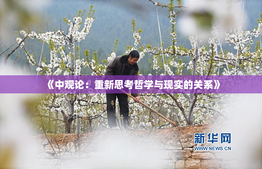 《中观论：重新思考哲学与现实的关系》