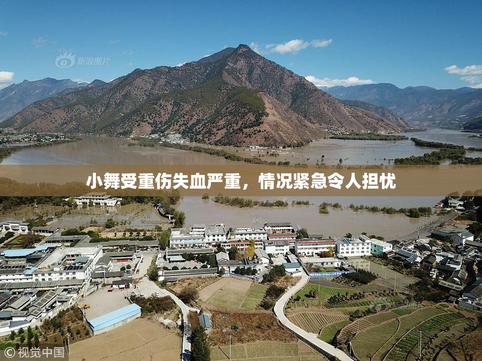 小舞受重伤失血严重，情况紧急令人担忧
