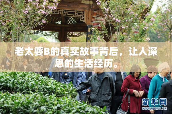 老太婆B的真实故事背后，让人深思的生活经历。