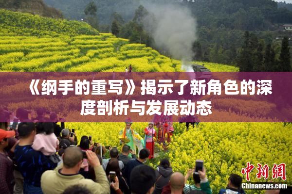 《纲手的重写》揭示了新角色的深度剖析与发展动态