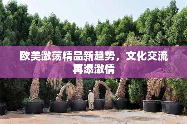 欧美激荡精品新趋势，文化交流再添激情