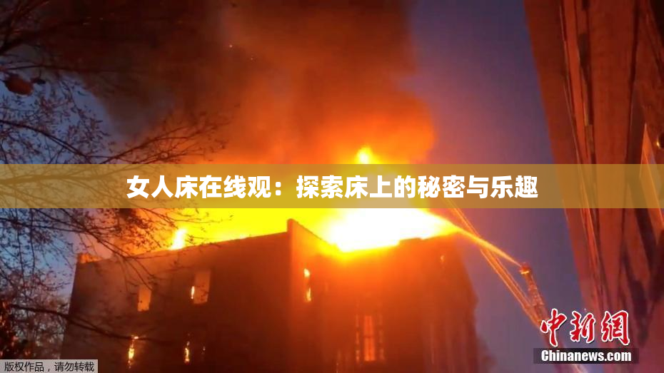 女人床在线观：探索床上的秘密与乐趣