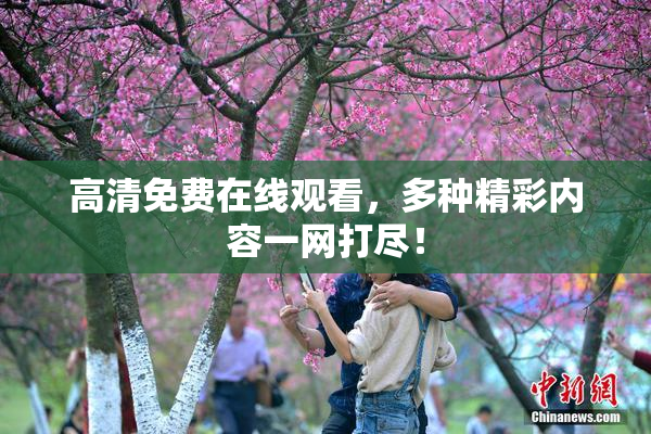 高清免费在线观看，多种精彩内容一网打尽！