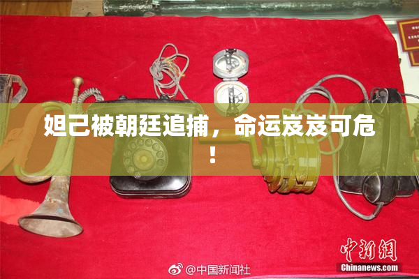 妲己被朝廷追捕，命运岌岌可危！