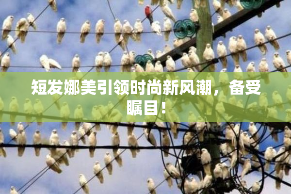 短发娜美引领时尚新风潮，备受瞩目！