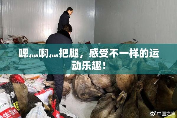 嗯灬啊灬把腿，感受不一样的运动乐趣！
