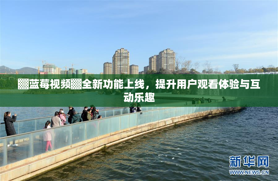 ▓蓝莓视频▓全新功能上线，提升用户观看体验与互动乐趣