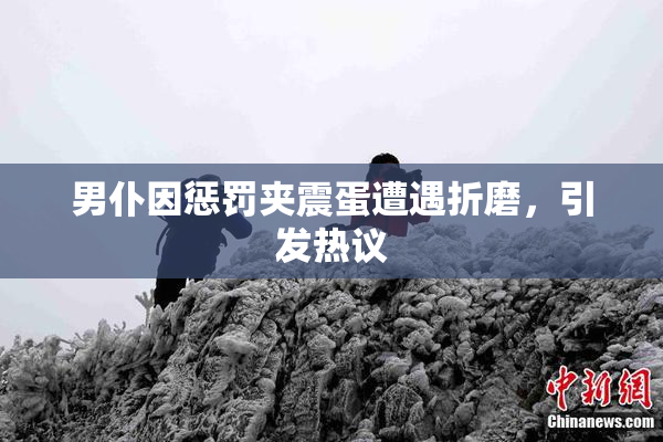 男仆因惩罚夹震蛋遭遇折磨，引发热议