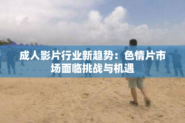 成人影片行业新趋势：色情片市场面临挑战与机遇