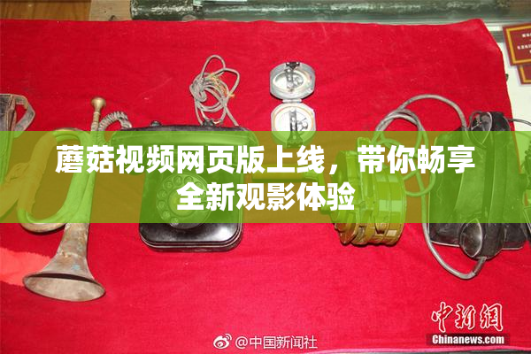 蘑菇视频网页版上线，带你畅享全新观影体验