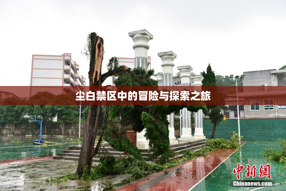 尘白禁区中的冒险与探索之旅