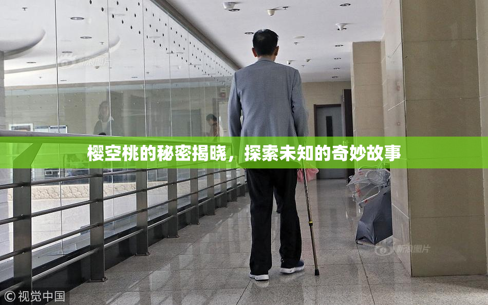樱空桃的秘密揭晓，探索未知的奇妙故事