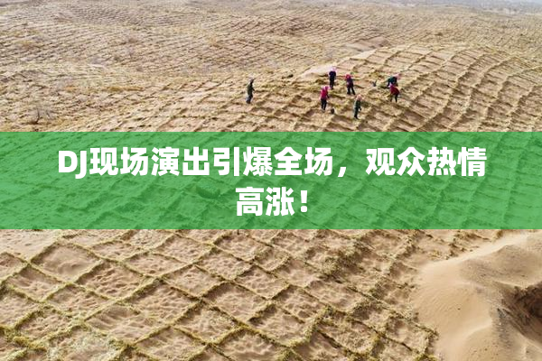 DJ现场演出引爆全场，观众热情高涨！