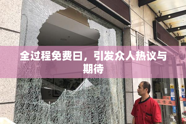 全过程免费曰，引发众人热议与期待