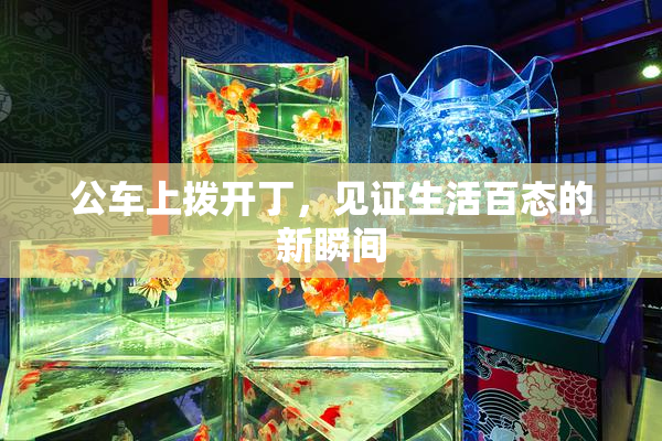 公车上拨开丁，见证生活百态的新瞬间