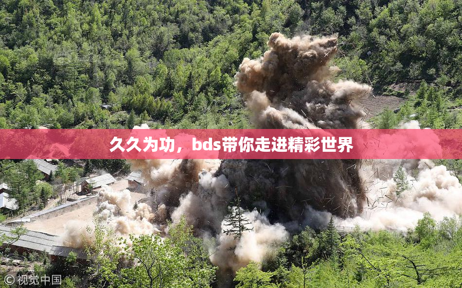 久久为功，bds带你走进精彩世界