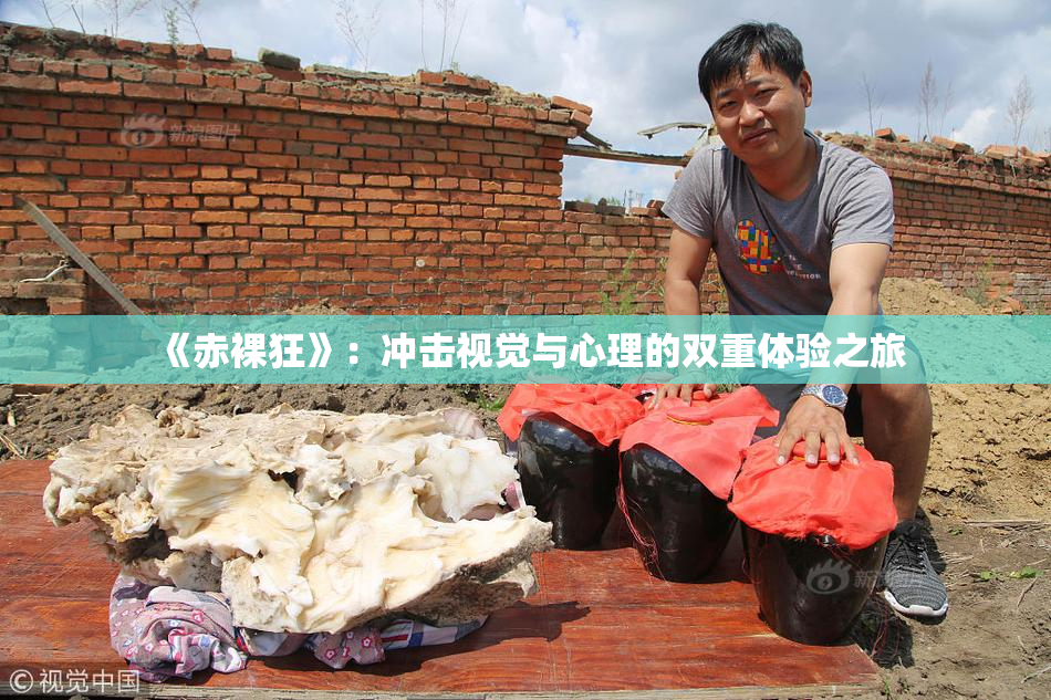 《赤裸狂》：冲击视觉与心理的双重体验之旅