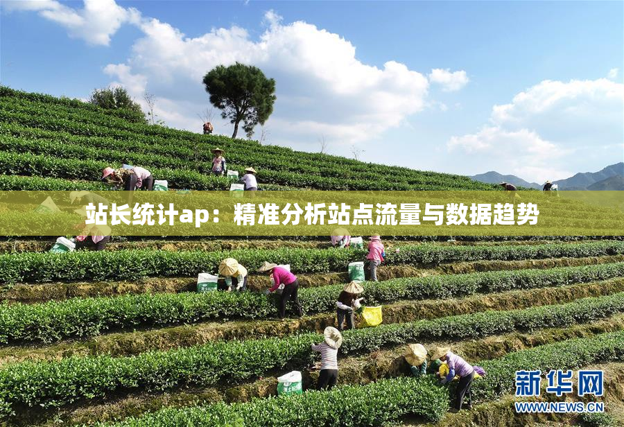 站长统计ap：精准分析站点流量与数据趋势