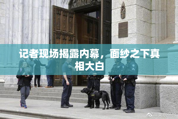记者现场揭露内幕，面纱之下真相大白