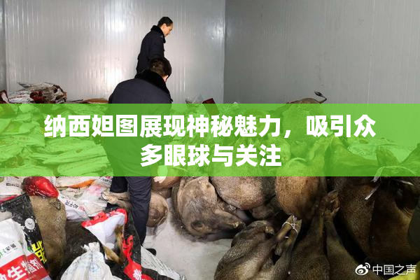 纳西妲图展现神秘魅力，吸引众多眼球与关注