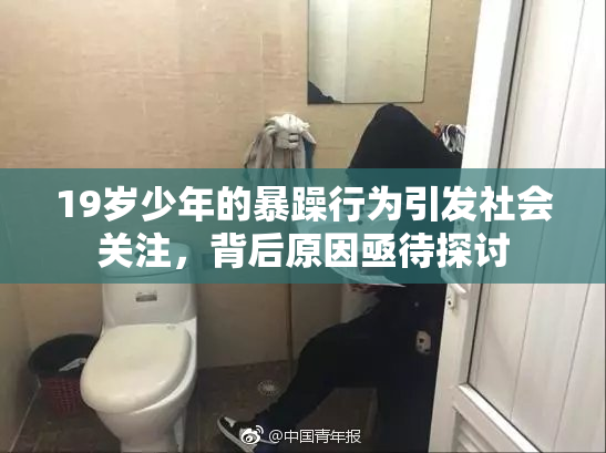 19岁少年的暴躁行为引发社会关注，背后原因亟待探讨