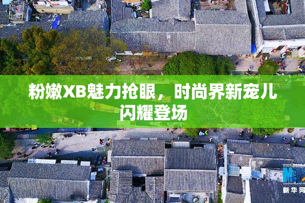 粉嫩XB魅力抢眼，时尚界新宠儿闪耀登场