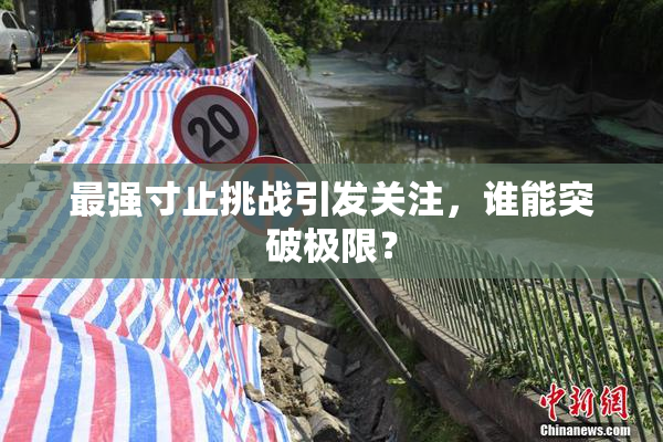 最强寸止挑战引发关注，谁能突破极限？
