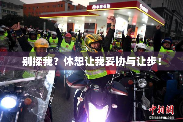 别揉我？休想让我妥协与让步！