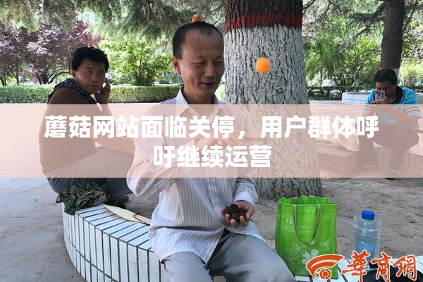 蘑菇网站面临关停，用户群体呼吁继续运营