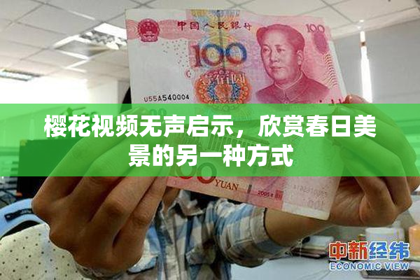 樱花视频无声启示，欣赏春日美景的另一种方式