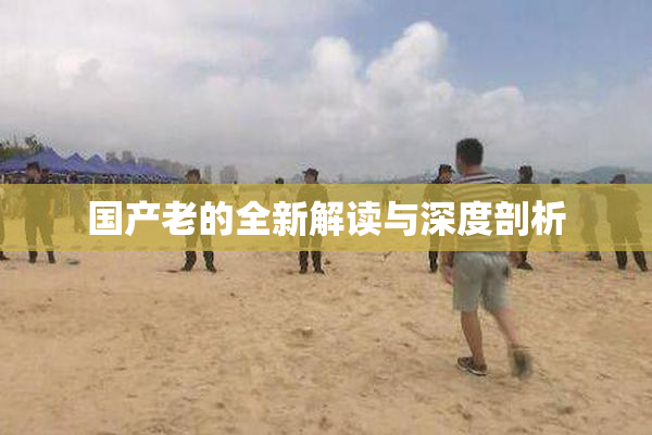 国产老的全新解读与深度剖析