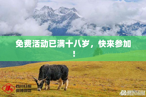 免费活动已满十八岁，快来参加！