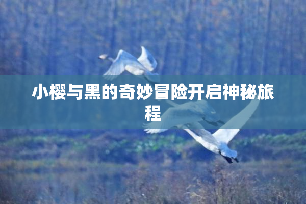 小樱与黑的奇妙冒险开启神秘旅程
