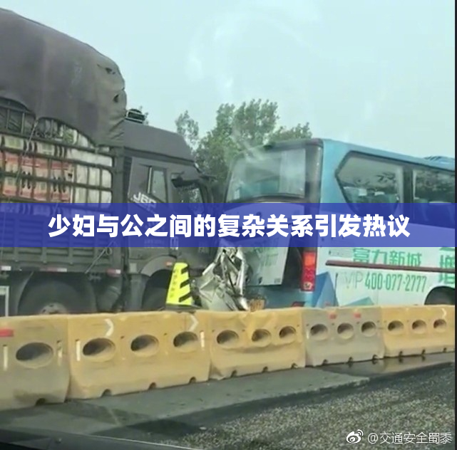 少妇与公之间的复杂关系引发热议