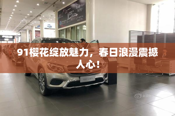 91樱花绽放魅力，春日浪漫震撼人心！