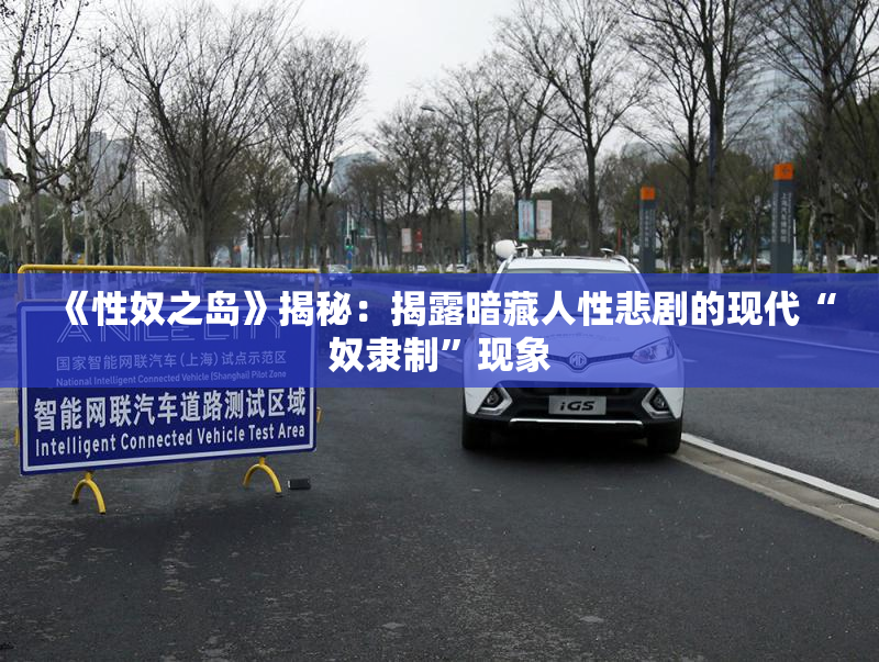 《性奴之岛》揭秘：揭露暗藏人性悲剧的现代“奴隶制”现象