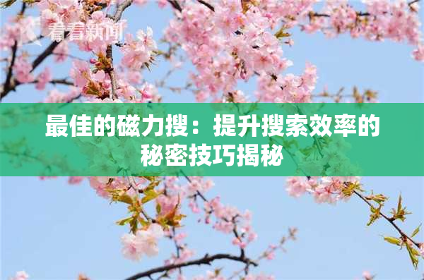 最佳的磁力搜：提升搜索效率的秘密技巧揭秘