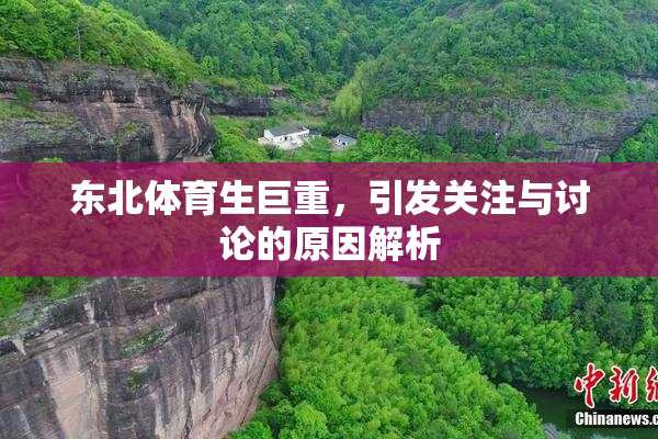 东北体育生巨重，引发关注与讨论的原因解析