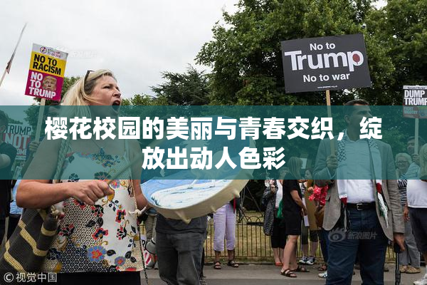 樱花校园的美丽与青春交织，绽放出动人色彩