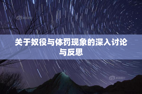 关于奴役与体罚现象的深入讨论与反思
