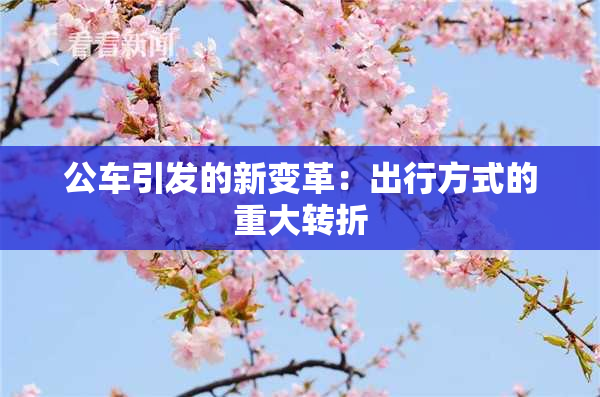 公车引发的新变革：出行方式的重大转折