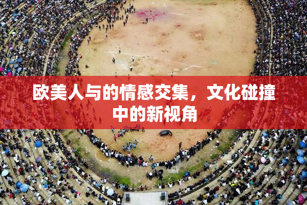 欧美人与的情感交集，文化碰撞中的新视角